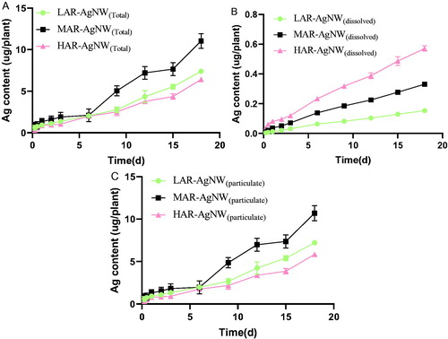 Figure 4. Measured Ag uptake in Lactuca sativa exposed to different (A) AgNWs suspension, (B) the particulate Ag, and (C) the corresponding concentrations of dissolved Ag at EC25 level over 18 d. Data are mean ± SE (N = 3). (LAR-AgNW: 43 nm diameter × 1.8 µm, PVP-coated, MAR-AgNW: 65 nm diameter × 4.4 µm, PVP coated, HAR-AgNW: 39 nm diameter × 8.4 µm, uncoated.)