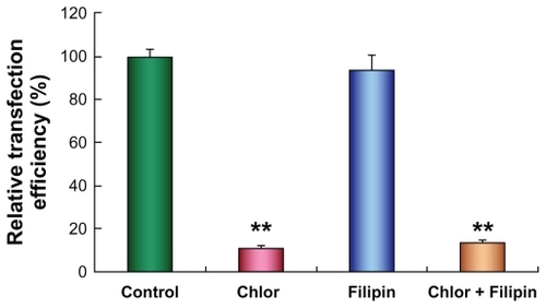 Figure 4 Transfection efficiency of polycation lipid nanocarrier/DNA complexes (PDC) in human lung adenocarcinoma (SPC-A1) cells in the presence of chlorpromazine (10 μg/mL) (**P < 0.01) or filipin III (1 μg/mL) (P > 0.05) at 48 hours after transfection. Data were corrected by protein content, and luciferase activity of cells without inhibitor treatment was set as 100% (n = 3).