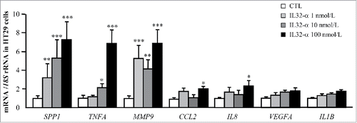 Figure 5. Effect of IL-32α treatment on the expression of inflammatory and ECM remodeling markers in HT-29 cells. Gene expression levels of pro-inflammatory markers as well as extracellular matrix remodeling-related molecules in HT-29 cells stimulated with recombinant IL-32α (1, 10, and 100 nmol/L) for 24 h. Gene expression levels in unstimulated cells were assumed to be 1. Values are the mean ± SEM (n = 6 per group). Differences between groups were analyzed by one-way ANOVA followed by Dunnet's tests. *p < 0.05, **p < 0.01, and ***p < 0.001 vs unstimulated cells.