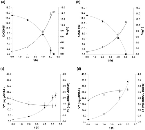 Figure 2. Kinetics of batch fermentation. Biomass growth and substrate-consumption kinetics using glucose (a) and glycerol (b). Experimental mean with standard deviation (±SD) of cell [○] and substrate [■] concentrations. Plasmid formation kinetics using glucose (c) and glycerol (d). Experimental mean with SD of VY [♦], SY [▲]. [—] Adjusted model.