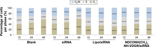 Figure 16 The cell percentage of blank, naked survivin-siRNA, NDCONH(CH2)2NH-VDGR/survivin-siRNA, and Lipo/survivin-siRNA group in each period of cell cycle (n=3).Abbreviation: siRNA, small interfering RNA.