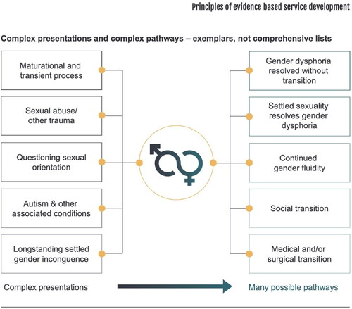 Figure 1. Examples of some different presentations and pathways for gender dysphoria, reproduced from the UK National Health Services commissioned Cass Interim Report (Cass Review, Citation2022a, page 57).