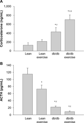 Figure 3 Plasma levels of corticosterone (A) and adrenocorticotropic hormone (ACTH) (B) measured 8 hours after acute exercise in db/db mice.