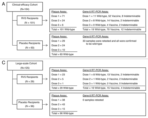 Figure 1. Categorization by the gene 6-based RT-PCR assay of rotavirus-positive stool samples collected during the vaccination phase of REST among all infants who received at least 1 dose of vaccine or placebo. All specimens were characterized as wild-type by the microbiological plaque assay. (A) Categorization of rotavirus cases among participants in the clinical-efficacy cohort of REST. (B) Categorization of samples collected during rotavirus-associated health care contacts (hospitalization or ED visit) during the vaccination phase among all participants in the large-scale cohort of REST. REST, Rotavirus Efficacy and Safety Trial; RV5, pentavalent rotavirus vaccine; EIA, enzyme immunoassay. RT-PCR, reverse transcriptase–polymerase chain reaction; ED, emergency department.