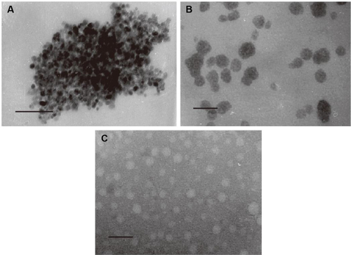 Figure S1 TEM images of bare SPIONs, PLCS/SPION micelles, and PLCS micelles.Notes: TEM images of bare SPIONs (A), PLCS/SPION micelles (B), and PLCS micelles (C).Abbreviations: TEM, transmission electron microscopy; PLCS, N-palmitoyl chitosan; SPION, superparamagnetic iron oxide nanoparticle.