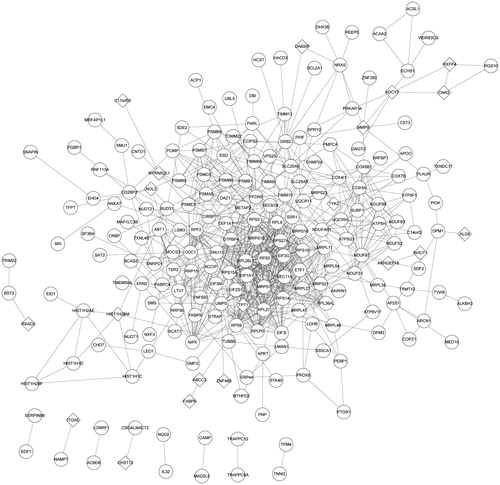 Figure 2. The PPI network of DEGs. Round represents the upregulated DEG; quadrilateral represents down-regulated DEG and the line represents the interaction. DEG: differentially expressed gene.