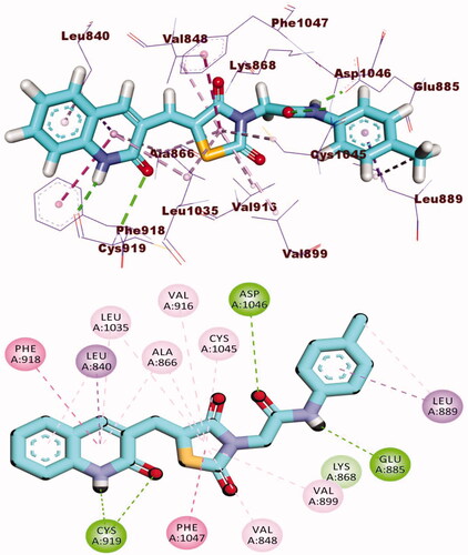 Figure 6. 3D and 2D binding mode of 8a with the active site of VEGFR-2.