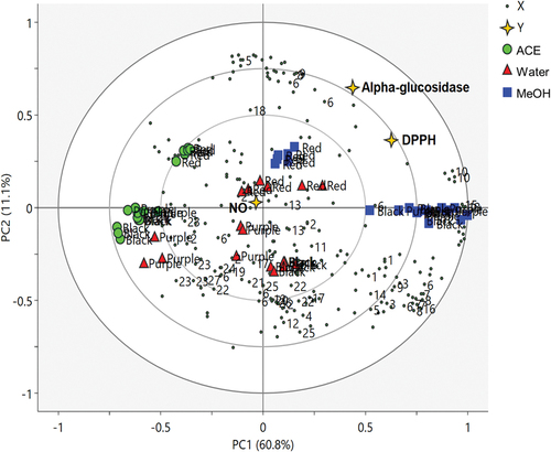 Figure 3. PLS biplot of 1H NMR spectra of different varieties of the pigmented rice extracts (black, purple, and red) from different extraction solvents (ACE: acetone, MeOH: methanol, H2O: water) describing the relationship between metabolites and bioactivities of pigmented rice extracts (1: trigonelline, 2: Nicotinic acid, 3: Histidine, 4: T-methylhistidine, 5: UDP glucose, 6: Chlorogenic acid, 7: Vanillic acid, 8: Protocatechuic acid, 9: Tyrosine, 10: Sucrose, 11: Maltose, 12: Glucose, 13: 4-Aminobutyric acid (GABA), 14: Fructose, 15: 2-Dimethylamine, 16: Choline, 17: 2-Oxoglutaric acid, 18: citric acid, 19: Succinic acid, 20: Pyruvic acid, 21: Acetic acid, 22: Alanine, 23: Fatty acid derivatives, 24: Propylene glycol, 25: Valine, 26: Isoleucine, 27: 2-Hydroxyisovaleric acid).