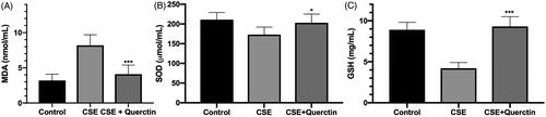 Figure 4. Quercetin protect CSE-induced oxidative stress in human RPE cells. (A) The expression of MDA in each group. (B) The expression of SOD in each group. (C) The expression of GSH in each group. (D) The expression of MCP-1 in each group. *p < .05 comparing with the CSE-treated group. ***p < .001 comparing with the CSE-treated group.