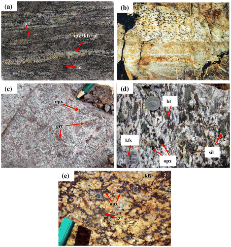 Figure 3. (a) Fine grained orthopyroxene bearing paragneiss. Dark layers are composed of biotite, garnet, orthopyroxene and sillimanite. White layers consist of quartz, k-feldspar and plagioclase. Length of photograph is 5 cm; (b) Black spots after former cordierite porphyroblasts. They prefer clay rich layer of primary sediment. Length of photograph is 1 metre; (c) Massive, medium- to coarse-grained metagranodiorite (type-1); (d) Coarse-grained metagranodiorite (type-2) with gneissose texture. Length of photograph is 18 cm; (e) Coarse-grained, massive metatonalite (type-3). Length of photograph is 14 cm.