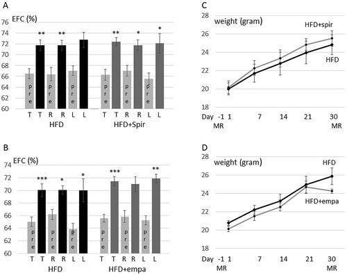 Figure 4. Spironolactone and empagliflozin do not prevent HFD-feeding induced EH in C57BL/6J. (A,C) C57BL/6J female mice were fed HFD without (5 mice) or with spironolactone (6 mice) for 30 days. Contrast enhanced MRI was performed at day –1 and day 30. (A) The relative size of the EFC was estimated for each ear and the same ear was compared before (pre) and after 30 days of treatment. Data are presented as means ± SEM shown for all ears (T), right ears (R) and left ears (L). HFD-group, p = 0.0020 (T), 0.0043 (R), 0.103 (L); HFD + spironolactone group, p = 0.0011 (T), 0.013 (R), 0.046 (L). (C) Time course in changes in body weight from base-line at 8 weeks of age and during 30 days on HFD or HFD + spironolactone. No significant difference in weights between HFD fed and HFD + spironolactone treated mice was observed at any time-point. (B,D) C57BL/6J female mice were fed HFD without (6 mice) or with (6 mice) empagliflozin for 30 days. Contrast enhanced MRI was performed at day -1 and day 30. (B) The relative size of the EFC was estimated for each ear before (pre) and after 30 days of treatment. Data are presented as means ± SEM shown for all ears (T), right ears (R) and left ears (L). HFD-group, p = 0.00040 (T), 0.019 (R), 0.012 (L); HFD + empagliflozin group, p = 0.00033 (T), 0.0.061 (R), 0.0012 (L). (D) Time course in changes in body weight from base-line at 8 weeks of age and during 30 days on HFD and HFD + empagliflozin. No significant difference in weights between HFD fed and HFD + empagliflozin treated mice was observed at any time-point.