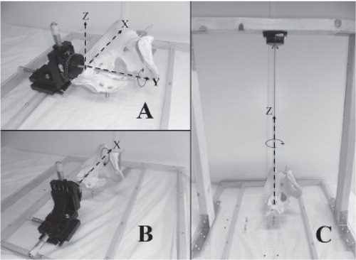 Figure 18. The setup of the pelvic phantom with the sacrum attached to a translation stage and a rotation rod are shown for (A) Y rotation and all translations, (B) X rotation, and (C) Z rotations.