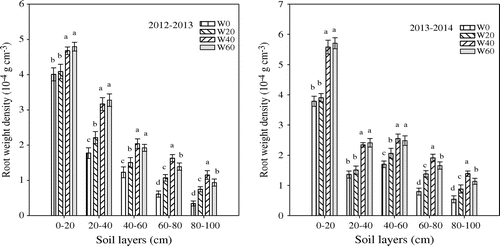 Figure 3. Responses of root weight density in the 0–100-cm soil layers to different treatments at anthesis in the 2012–2013 and 2013–2014 growing seasons, rainfed (W0), the soil water content before SI was monitored to depths of 20 cm (W20), 40 cm (W40) and 60 cm (W60), respectively, and bringing the soil moisture to 65% field capacity (FC) at jointing and 70% FC at anthesis. The same letter in the figure is not significant different at p = 0.05 by LSD test. Vertical bars are standard errors.