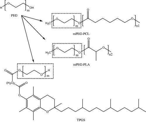 Figure 3. Sketch of structural composition of mPEG-PCL, mPEG-PLA, and TPGS: monomethoxy poly(ethylene glycol)-b-poly(ɛ-caprolactone); monomethylol poly(ethylene glycol)-poly(D,L-lactic acid); D-α-tocopheryl polyethylene glycol 1000 succinate.