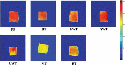 Figure 4. Magnetic resonance imaging (MRI) of cuttlefish by different thawing methods.