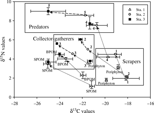 Figure 2.  Carbon and nitrogen (mean±SD) stable isotope plots of aquatic insects and their potential food sources in the Inukami River. The triangles indicate Station 1, gray circles indicate Station 2, and black squares indicate Station 3. SPOM, suspended particulate organic matter; BPOM, benthic particulate organic matter; 1, Glossosoma spp., 2, Stenelmis spp., 3, Chironominae spp., 4, Rhyacophila nigrocephala; 5, Hexatoma spp.