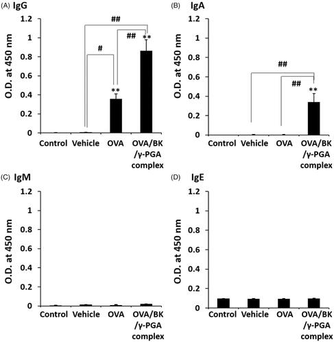 Figure 4. OVA-specific antibody in BALF after pulmonary administration of the complex. Mice were treated four times with vehicle, OVA and the OVA/BK/γ-PGA complex weekly by pulmonary administration. Two weeks after the last administration, the mice were sacrificed, and BALF samples were collected to measure OVA-specific IgG (A), IgA (B), IgM (C) and IgE (D) by ELISA. The 5% glucose solution was used as the control. Each value represents the mean ± S.E. (n = 4–5). **p < .01 vs. control, #p < .05, ##p < .01.