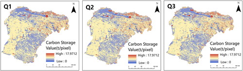 Figure 7. Carbon storage distribution of three predicted scenarios in Ordos.