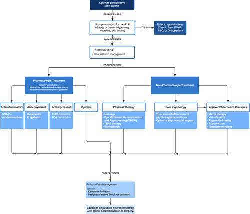 Figure 1 Management algorithm for phantom limb pain.