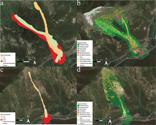 Figure 6. (a,c) Mapped return periods and (b,d) random forest model–generated vegetation classes for return interval zones for (a,b) Shed 7 and (c,d) Path 1163. The orange lines represent contour lines spaced at 10-m intervals to illustrate topography changes.