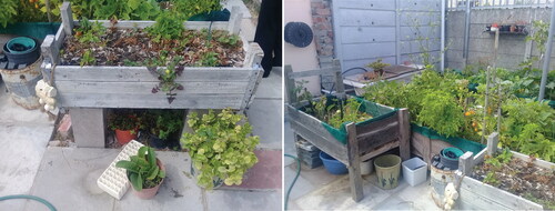 Figure 2 Measures to accommodate container gardening.