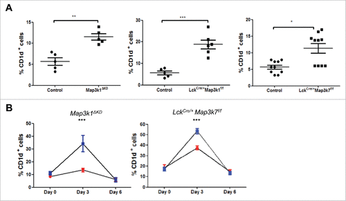 Figure 2. Mekk1 and Tak1 regulate iNKT cell proliferative expansion in the liver. (A) Liver cells from WT, Map3k1ΔKD, LckCre/+Map3k1f/f and LckCre/+Map3k7f/f mice were isolated and stained with CD1d tetramer and anti-CD3 antibody and analyzed by flow cytometry as shown. Data is representative of at least 5 mice. (B) Aberrant iNKT liver cell expansion in LckCre/+Map3k1f/fand LckCre/+Map3k7f/f(Display full size) mice. Map3k1ΔKD/+ or LckCre/+Map3k7f/+ (Display full size), Map3k1ΔKD (Display full size) or LckCre/+Map3k7f/f (Display full size) were i.p. injected with α-GalCer over a 6-day timecourse as shown. Liver cells were harvested at days 0, 3, and 6, stained with CD1d tetramer and anti-TCRβ antibody and analyzed by flow cytometry as shown. Data was representative of at least 3 mice.