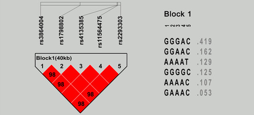 Figure 1 The linkage disequilibrium estimates in the CTNNB1 gene.