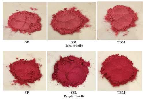 Figure 2. The color foam mat dried red and purple roselle calyces powder with different foaming agents.