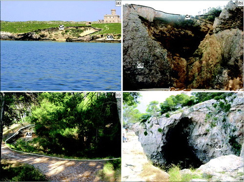 Figure 7. Geomorphological features on the islands (the abbreviations refer to the Morpho-lithostratigraphic scheme included in the map) (CitationMiccadei et al., 2011). (a) Capraia, partially submerged karst pothole, along the southern coast of the island; (b) San Domino, karst pothole in the north-east sector of the island, with calcretes on top; dashed line indicates a tectonic discontinuity, characterized by NW–SE fault planes and cataclastic rocks (Figure 5a); (c) San Domino, pothole at Cala delle Roselle, partially filled by aeolian sands (AS); (d) San Domino, karst cave at sea-level.