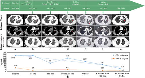 Figure 1 Imaging evaluation and detection of serum tumor biomarkers during treatment. (a–g) Sequence of anticancer treatments and the corresponding imaging evaluations. Red arrows indicate the primary tumor, while red asterisks indicate newly developed intrapulmonary metastatic lesions. A remarkable shrinkage of the primary tumor and intrapulmonary metastases was observed after 5 and 14 months of treatment with selpercatinib. (h) Serum CEA and NSE were detected to monitor clinical response during the treatment.