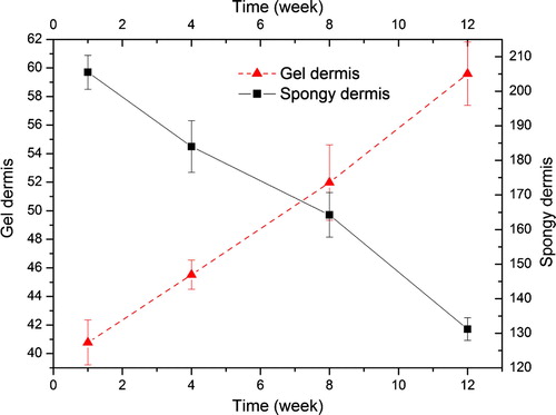 Figure 2.  Snap intensity of the dermises (Kpa).