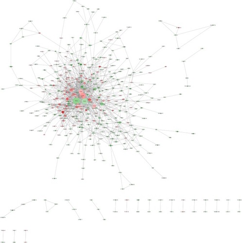 Figure 5 Protein–protein interaction network.