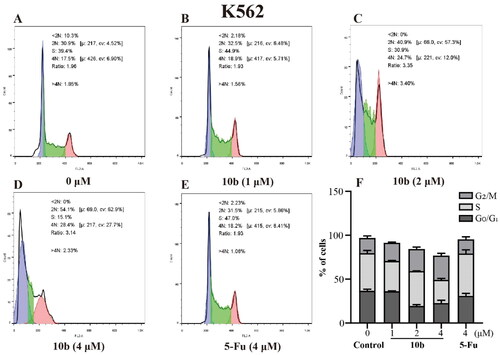 Figure 6. Cell cycle analysis through PI staining and following flow cytometry for the K562 cells treated with compound 10 b at 1, 2 and 4 μM for 24 h. DMSO was the negative control, as 5-Fu was the reference drug. (A) Control, (B) 10 b (1 μM), (C) 10 b (2 μM), (D) 10 b (4 μM) and (E) 5-Fu (4 μM). (F) The proportion of the cell cycle was quantified in the segments of the bar chart. Three individual experiments were performed for each group. Data are expressed as the mean ± SD of three independent experiments. ***p < 0.005.