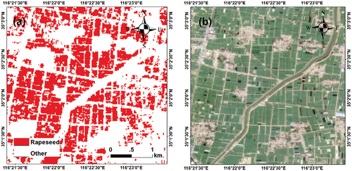Figure 17. Example of misclassified rapeseed fields (35.04N, 116.37E) without yellowness in flowering season. (a) classification map, (b) true color image in flowering season.