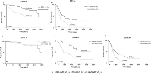 Figure 3. Kaplan-Meier analyses of overall survival in CGGA cohort according to ISG20 expression level. Samples were divided into high- and low-ISG20 expression groups based on the median expression level of ISG20. (a) Patients with IDH mutant tumors. (b) Patients with IDH wild-type tumors. (c) WHO grade II glioma patients. (d) WHO grade III glioma patients. (e) WHO grade IV glioma patients. Discriminative power of ISG20 was assessed with Kaplan-Meier plotting method and the Log-rank test. NS, no significance.