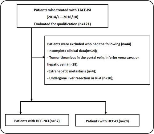 Figure 1 Patient enrolment and categorization flow chart. Flow chart shows the screening procedure for patients with HCC-LC who were included in this study.
