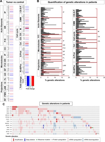 Figure 1 Transcriptomics and genetic alteration analyses of cytoskeleton regulators.