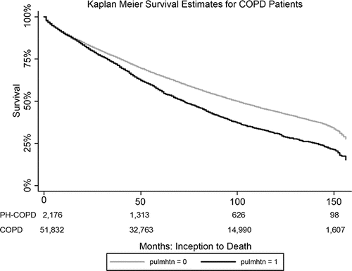Figure 2. Survival curve for veterans with COPD, with and without PH, over 12 years.