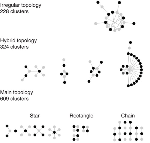 Figure 1. Schematic activity cliff network. Exemplary clusters from the global AC network with irregular or recurrent main topologies and hybrids of these topologies are shown. In addition, for each topological category, the total number of clusters in the network is provided.