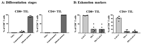 Figure 5. T-cell differentiation stages and exhaustion markers in the INF PROD from the treated patients. A, the percentage of CD8+ and CD4+ TIL found to be naive- (CD45RO-CD45RA+), central memory- (CD45RO+ CCR7+) or effector memory cells (CD45RO+ CCR7-), respectively. B, the percentage of CD8+ and CD4+ TIL expressing the exhaustion markers LAG-3, PD-1 or LAG-3 and PD-1, respectively.