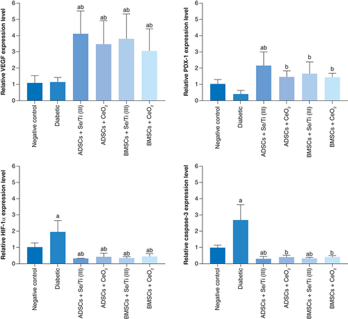 Figure 6. Effect of implanted hypoxia-resistant insulin-producing cells on the pancreatic VEGF, PDX-1, HIF-1α and Caspase-3 gene expression patterns of the diabetic rats.Values are represented as (means ± SD) of four rats per group. (A) Significant variation at p < 0.05 versus the negative control group. (B) Significant variation at p < 0.05 versus the diabetic group.ADSC: Adipose-derived stem cell; BMSC: Bone marrow mesenchymal stem cell.