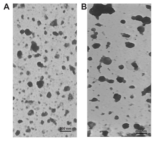 Figure 5 Transmission electron photomicrographs of freeze dried (A) poly(ethylene glycol)-mediated docetaxel-lipid-based-nanosuspension; and (B) targeted docetaxel-lipid- based-nanosuspension.