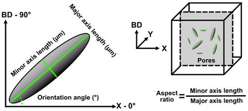 Figure 3. Illustration of shape descriptors used for pore characterization with reference to the build direction (BD) and x-axis of each image. The orientation angle measures from 0 to 90 (˚) between the x and BD direction.