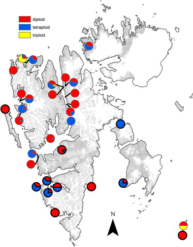 Fig. 1 Distribution of diploid, triploid and tetraploid individuals of Saxifraga oppositifolia in Svalbard based on 193 samples analysed by flow cytometry viewed as propositions within the 20 sampling sites analysed in this study (Table 1), and selected samples from Müller et al. Citation2012 (encircled in black), where ploidy levels were inferred from amplified fragment length polymorphisms patterns in combination with flow cytometry.