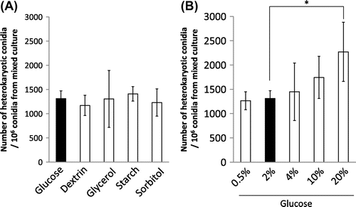 Fig. 4. Effects of carbon source on hyphal fusion efficiency.Notes: The carbon source of the CD medium in mixed culture was changed from glucose to dextrin, glycerol, starch, and sorbitol (A), and the amount of glucose was changed from 2 to 0.5, 4, 10, and 20% (B). The number of heterokaryotic conidia out of the conidia formed in mixed culture is shown in the graph. Error bars indicate standard deviations. Four independent experiments were performed. *p < 0.05, Student’s t test.