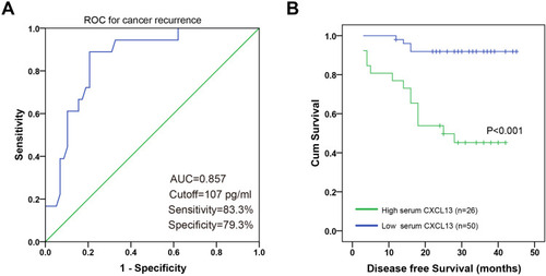 Figure 4 (A) ROC curve for preoperative serum CXCL13 level with reference to cancer recurrence. (B) PC patients with high preoperative serum CXCL13 level exhibited shorter disease-free survival.