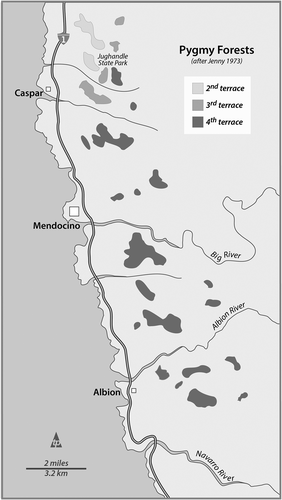 Figure 2. Site map identifying the locations of the pygmy Cypress and ashen-soil (podzolic) ecosystems. The dwarf “forests” are found on the eastern flanks of the second, third, and fourth terraces as mapped by Jenny (Citation1973). It was the occurrence of these dwarf trees on podzols that triggered early research into the geomorphologic origins of these ecologic staircases. Map by T.R. Paradise.