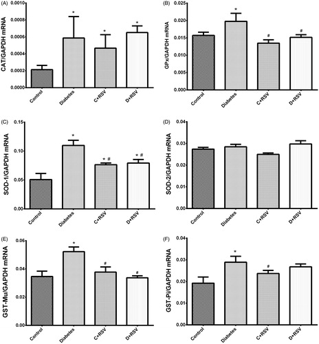 Figure 1. Relative gene expression levels of CAT (A), GPx (B), SOD-1 (C), SOD-2 (D), GST-Mu (E), and GST-Pi (F) in control, diabetic, resveratrol supplemented control (C+RSV), and resveratrol supplemented diabetic (D+RSV) rat brain cortex. Data were normalized with respect to internal standard GAPDH. *Indicates that the means were significantly different (p < 0.05) compared with control groups. #Indicates that the means were significantly different (p < 0.05) compared with diabetic groups.