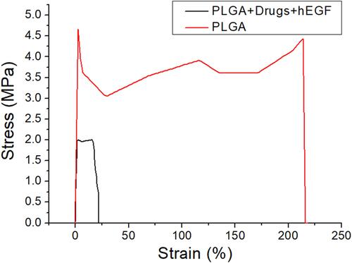Figure 5 Stress-strain curve of pure PLGA and drugs/hEGF-loaded sandwich-structured nanofibers.