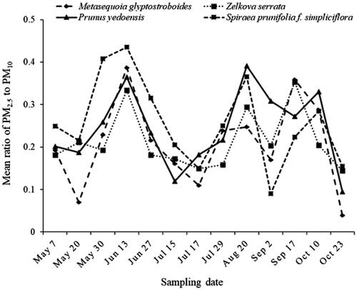 Figure 4. The mean ratio of PM2.5 to PM10 accumulated on the leaves of four tree species.